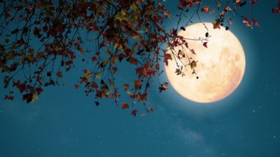 Autumn season in the night sky